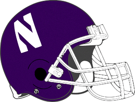 Northwestern Wildcats 1981-1992 Helmet Logo diy iron on heat transfer